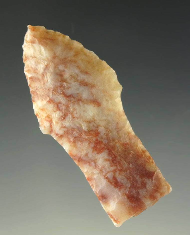 Exceptional! 1 15/16" Paleo Hell Gap - Yuma County Colorado -Alibates Flint. Jeb Taylor COA.