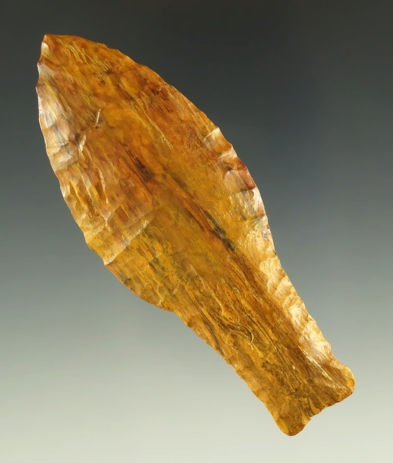 Great example! One half restored 3 1/2" Paleo Hell Gap - beautiful petrified wood - Colorado.