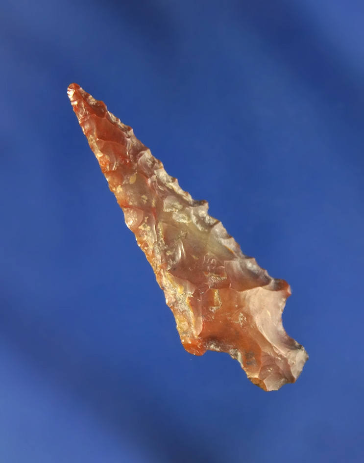 1 7/16" Rose Springs found in Nevada.