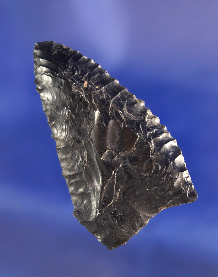 1 7/8" Obsidian Columbia Mule Ear  found near the Columbia River, Washington.