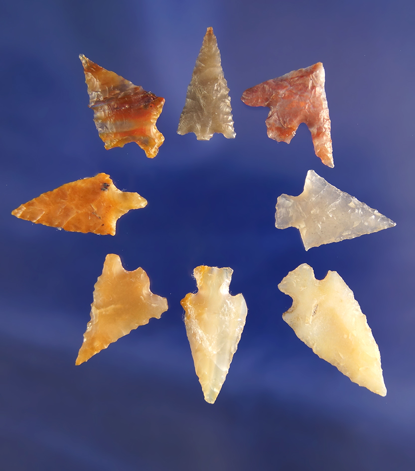 Set of eight assorted Columbia River Gempoints found in Washington, largest is 15/16".
