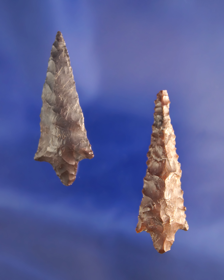 Nice pair of Rabbit Island Dart points, largest is 1 13/16". Found in Washington.