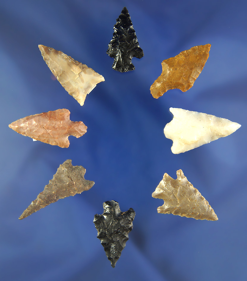 Set of eight assorted arrowheads found in Oregon and Washington, largest is 1 1/16".