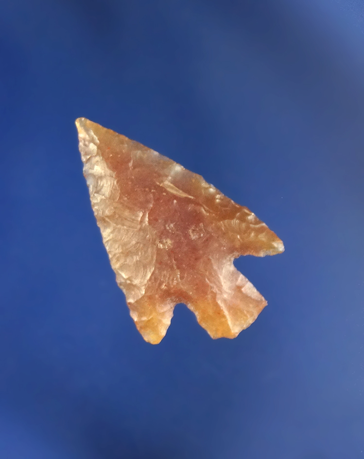 7/8" beautifully made semi translucent Gempoint found near the Columbia River, Washington.