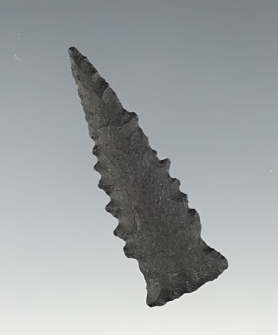 1 5/16" Serrated New Mexico Arrow Point in excellent condition.