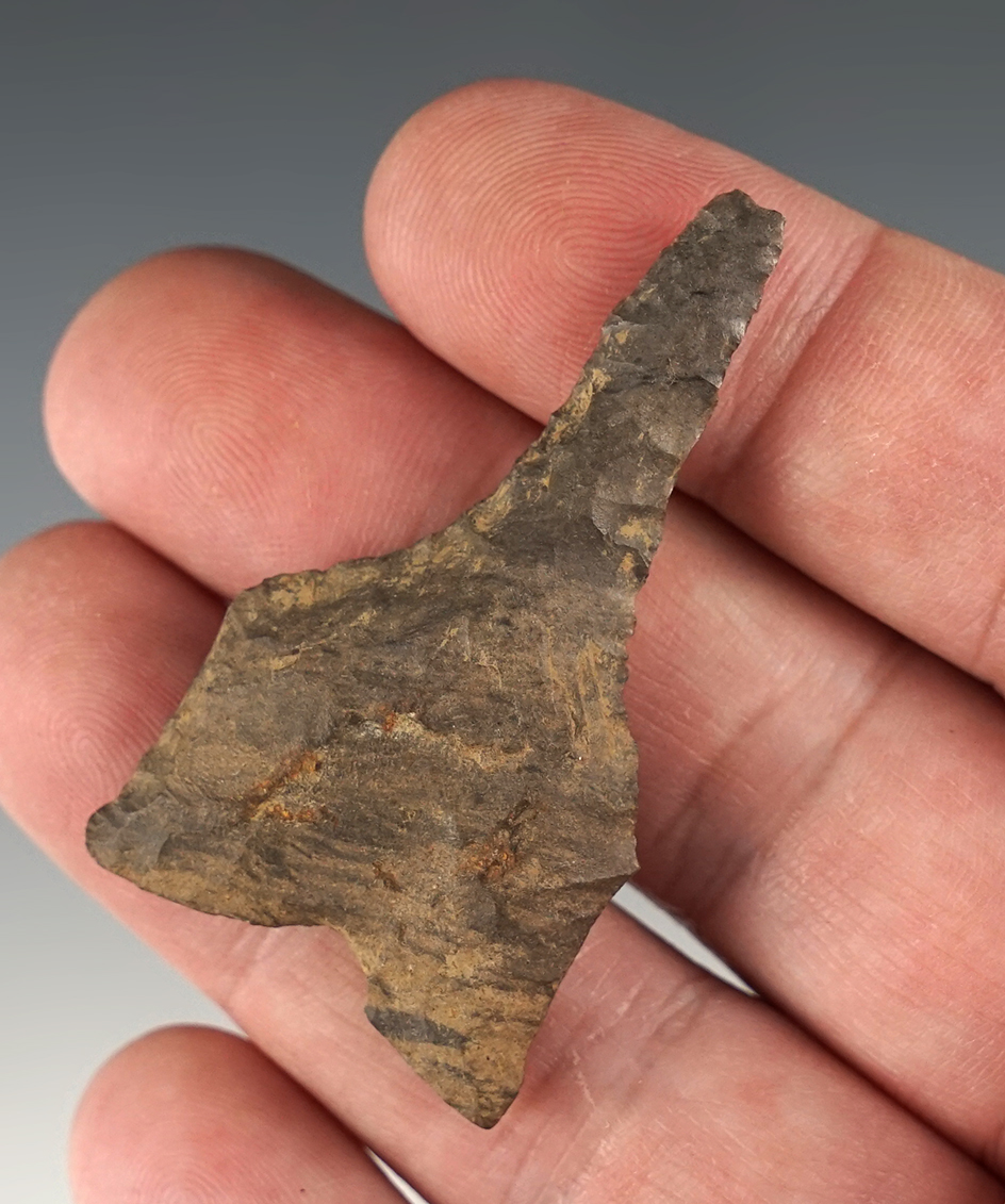 2 1/8" Dover Flint Dalton Drill found in Tennessee.