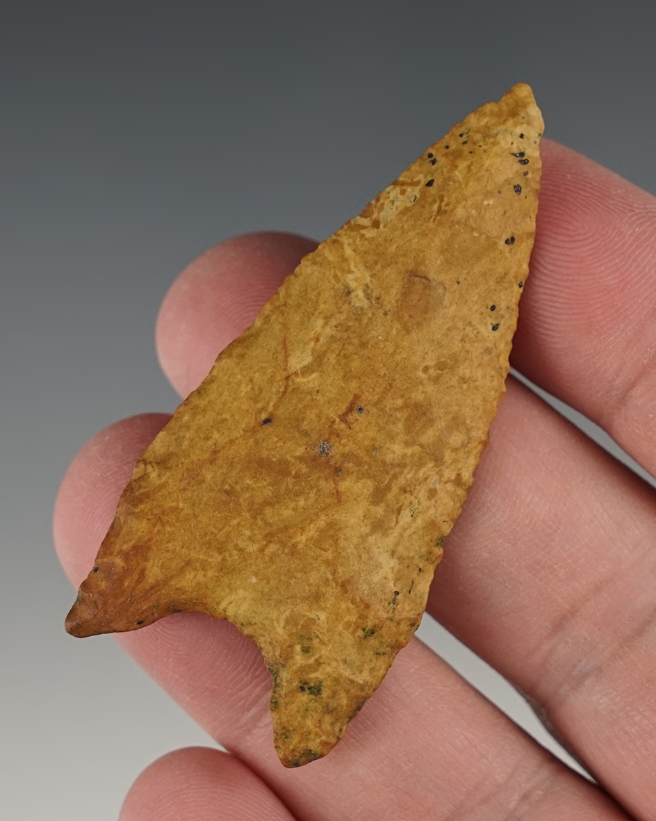 2 3/8" Well patinated Dalton found in Arkansas.