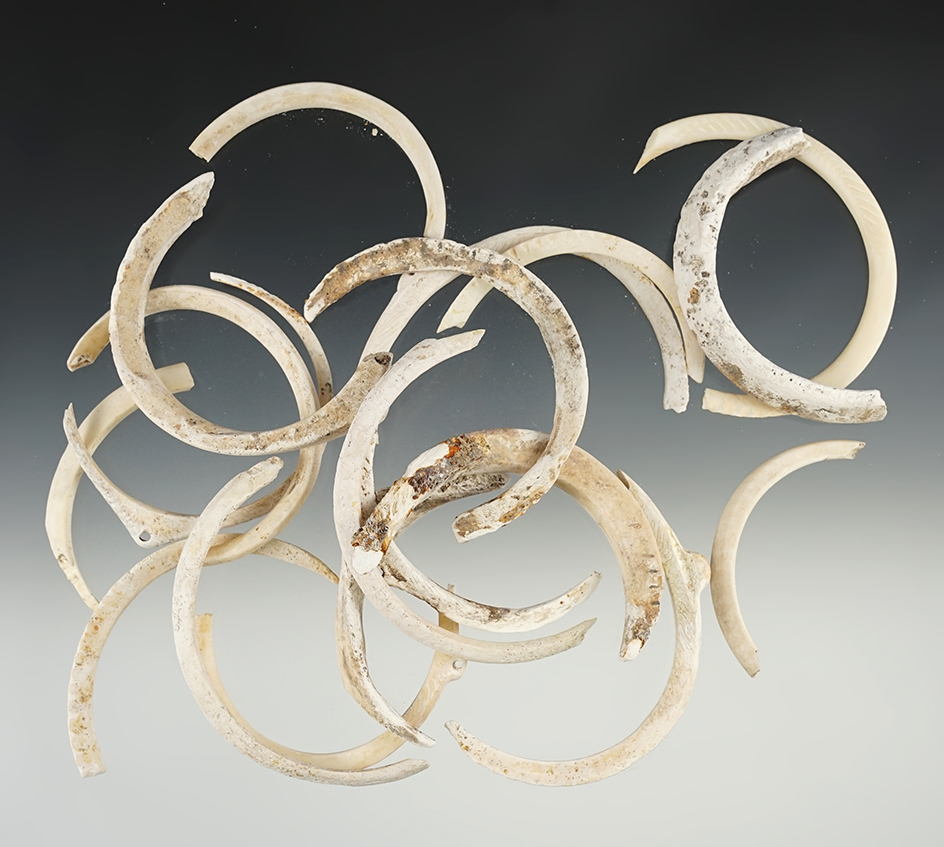Set of 20 Shell Bracelet pieces found in New Mexico.