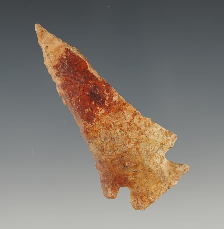 Heavily Beveled 2 5/8" Kirk Corner Notch found in Southern Georgia.