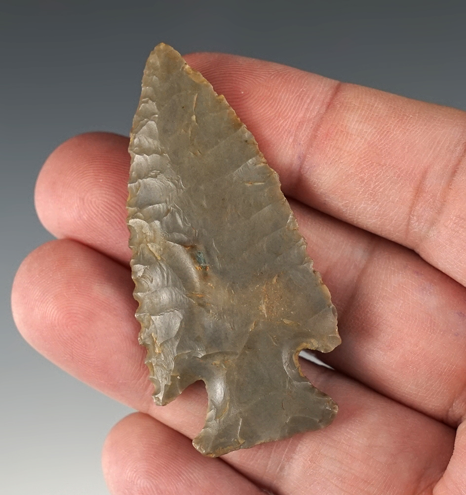 2 3/16" Indiana Kirk Corner Notch with light serrations.  Ex. C. Lynch and J. W. McManus.