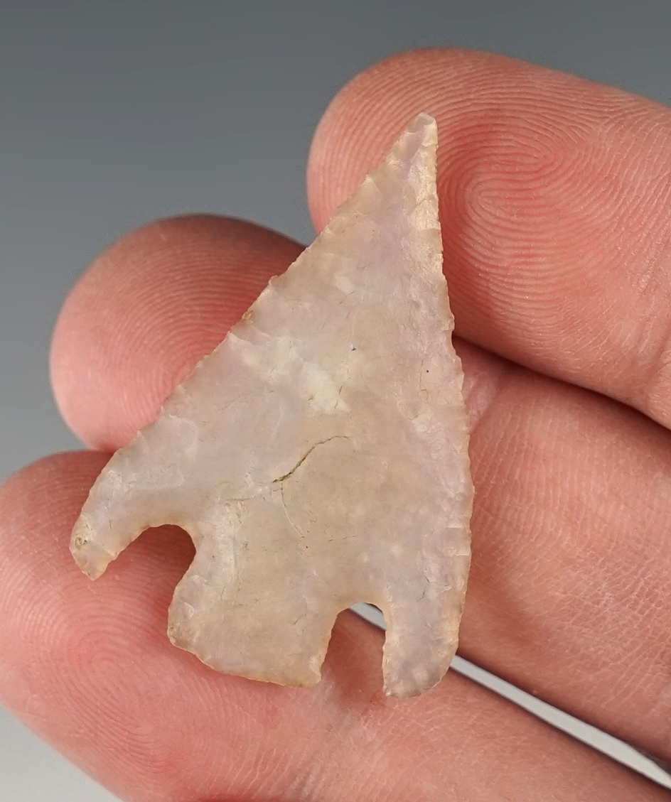 Translucent and fine 1 1/2"Shumla found in New Mexico.