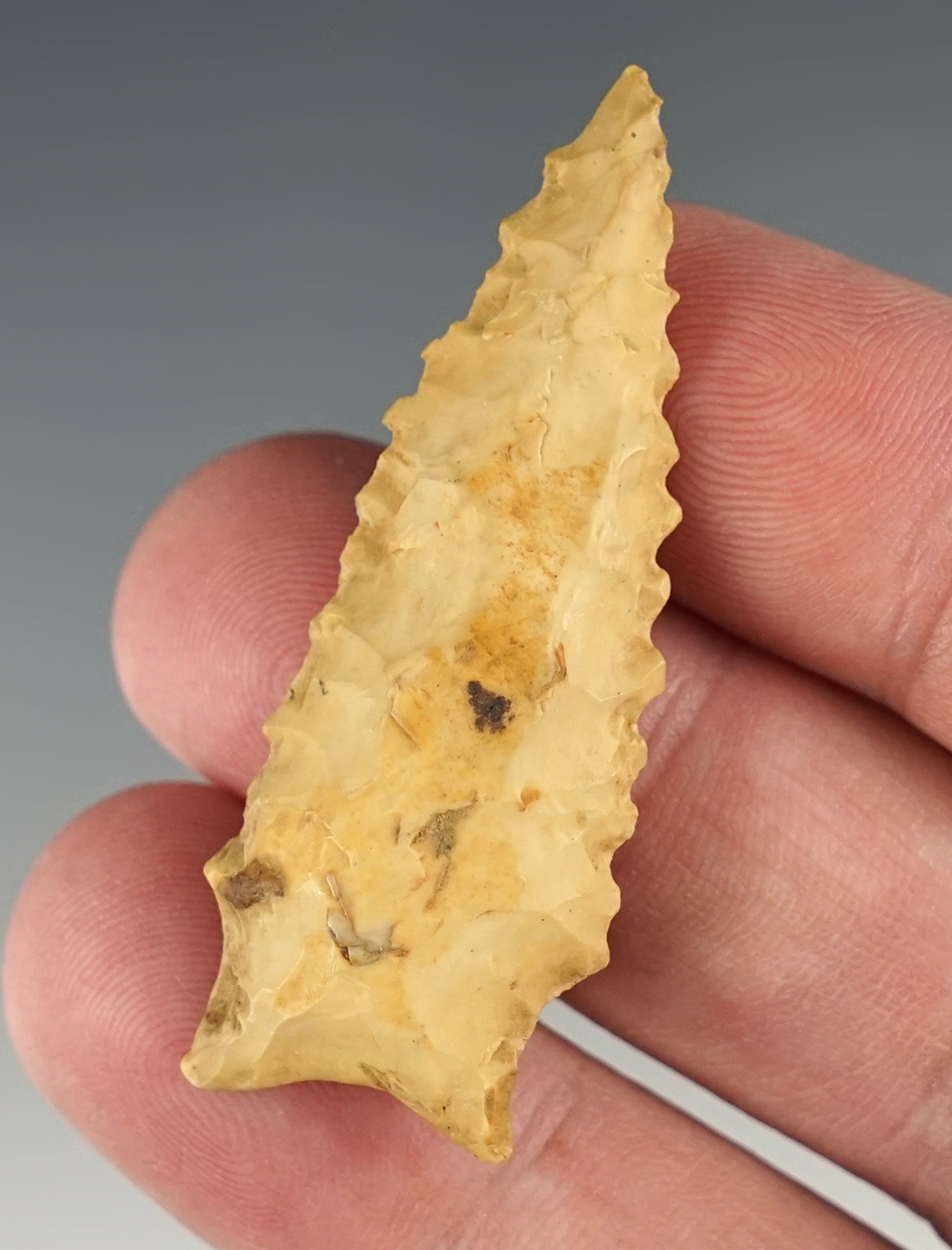 2 1/16" Nicely serrated Dalton found in Arkansas.