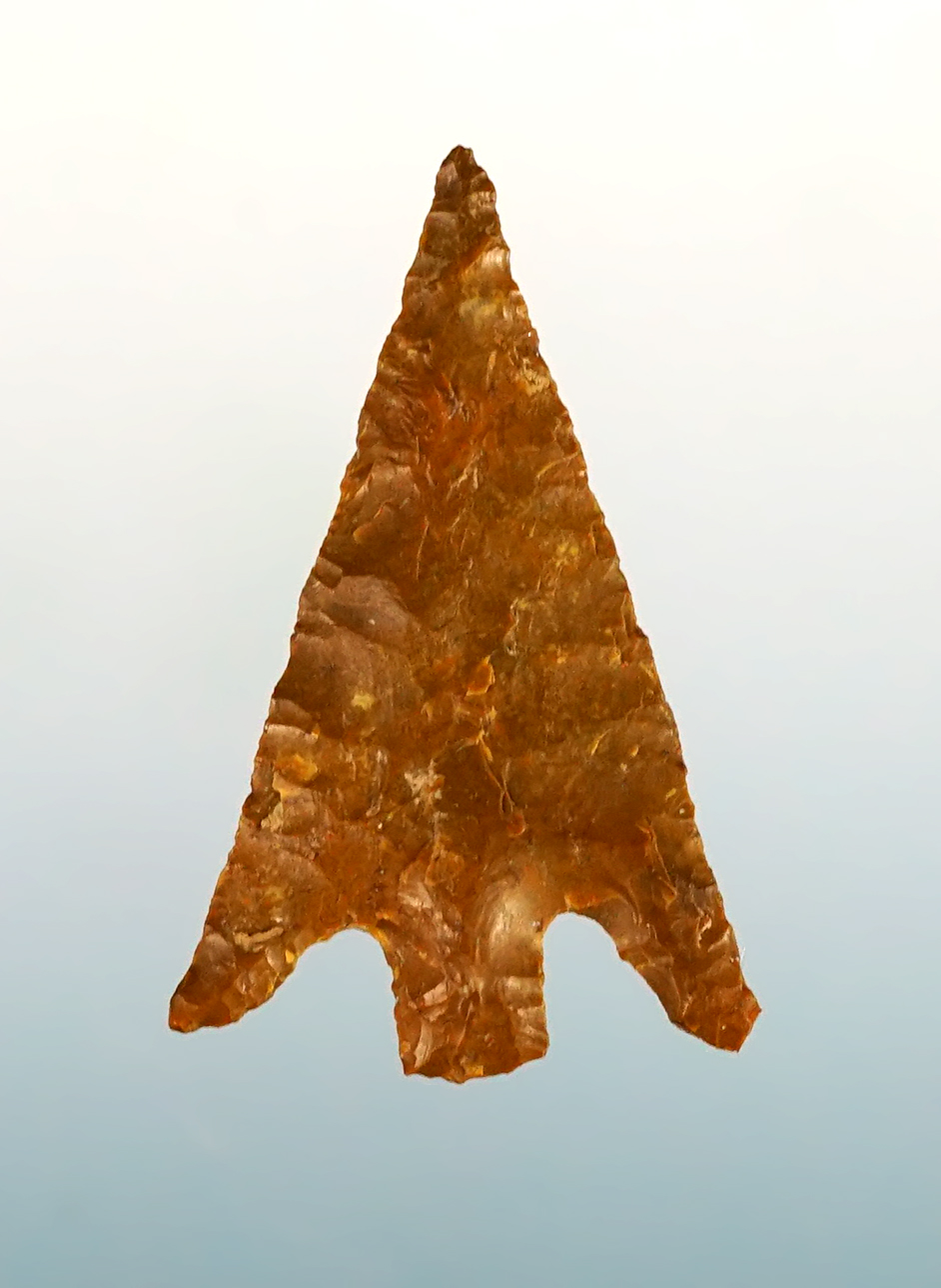 Fine 1 1/8" Columbia Plateau - Washington & Oregon area. Stermer COA.