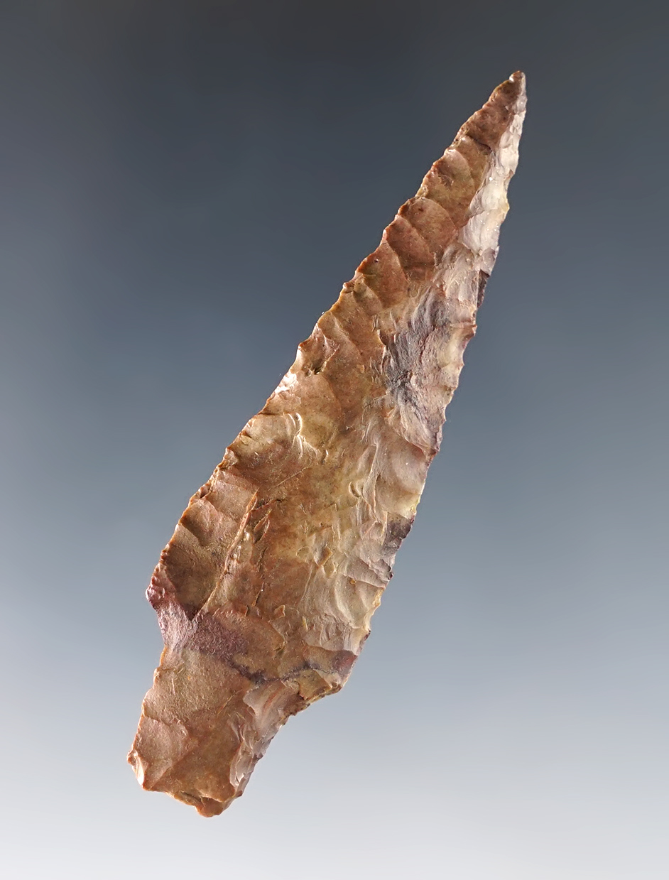 Beautifully colored 2 7/8" Shaniko Stemmed - Okanogan Co., Washington. Stermer COA.