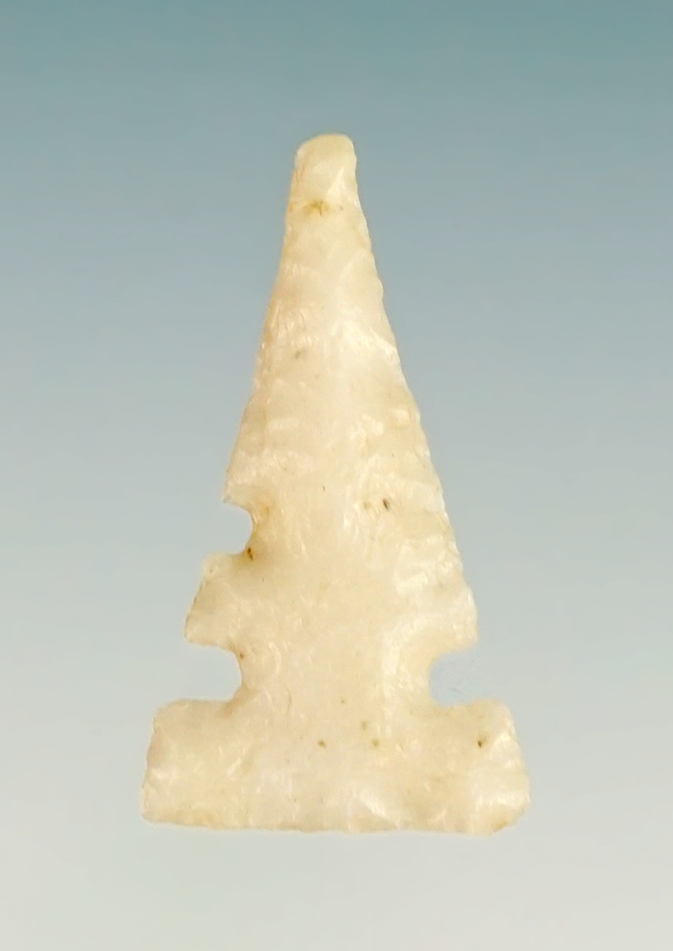 Classic style 7/8" Dry Prong point recovered in New Mexico.