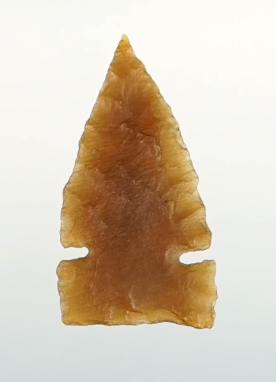 Exceptionally Thin! 15/16" Sidenotch arrow point recovered in Colorado. Perfect condition!