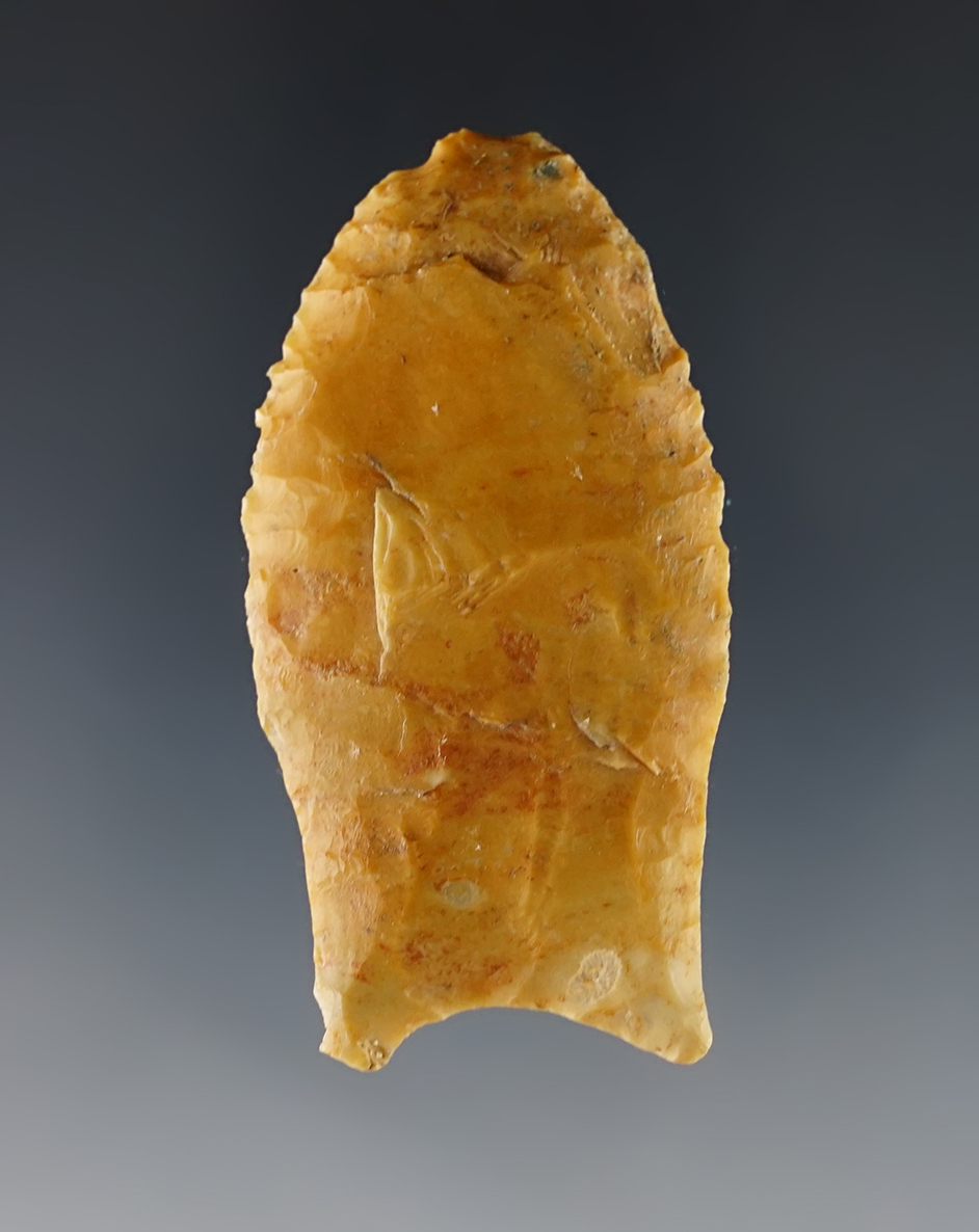 2 1/4" Paleo Clovis, Hazel variety, found in Benton Co., Tennessee. Made from nicely colored Flint.