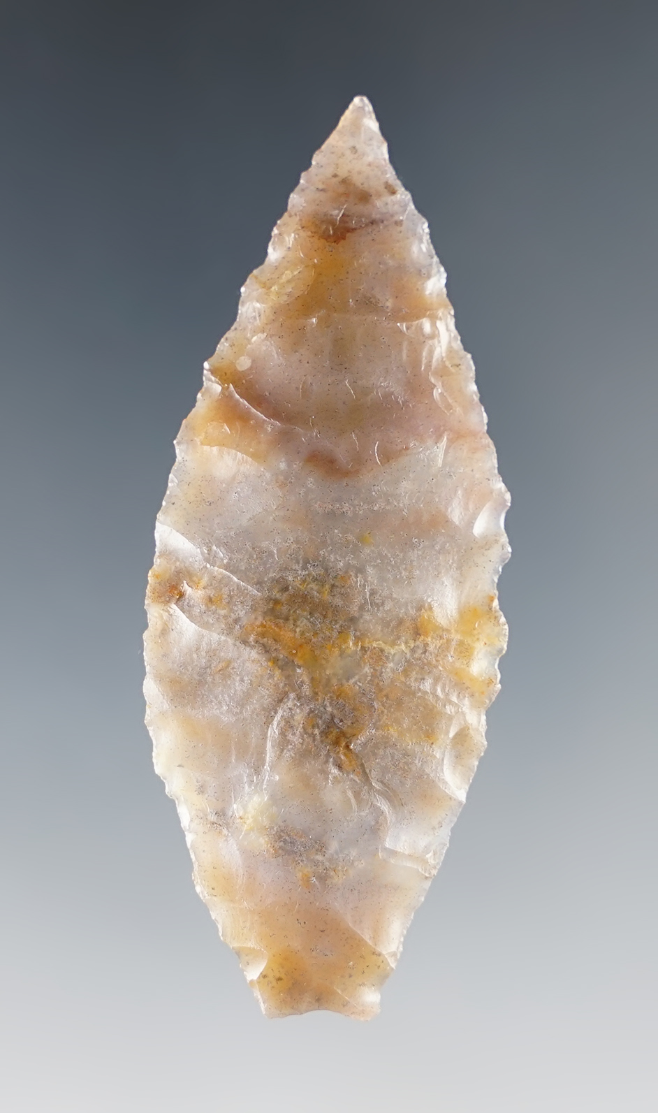 Exceptional material color and quality on this 2 1/2" Humboldt concave-base. Stermer COA.