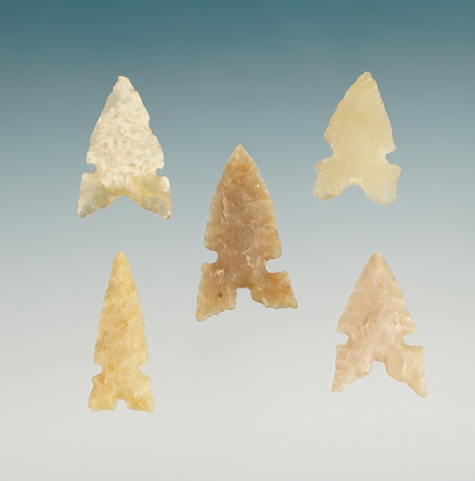 Set of 5 nice Points found around Texas, Oklahoma and Arizona. Ex. Dr. Royce Thomas collection. 