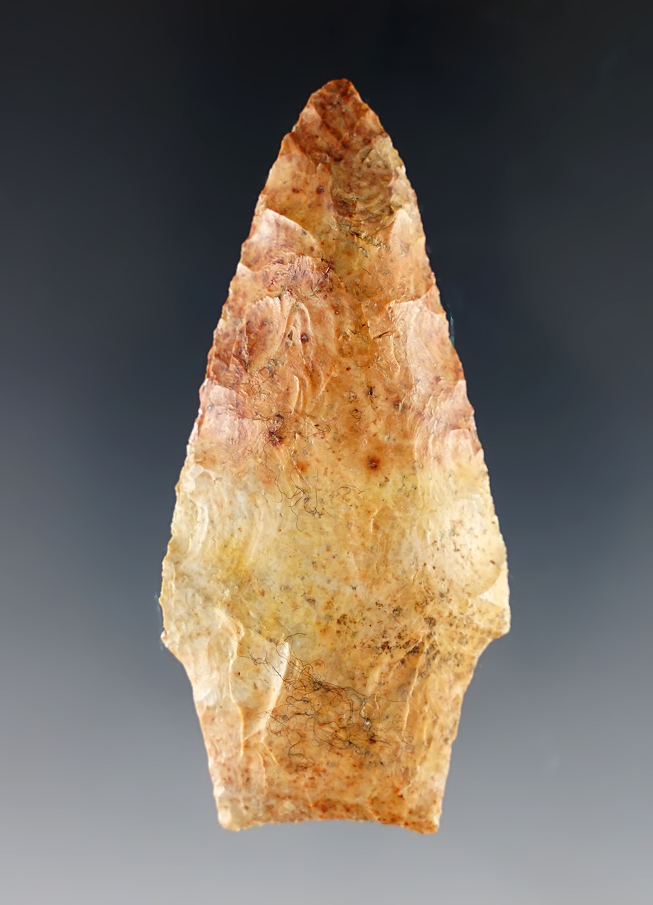 Colorful and well patinated 2 3/4" Savannah River found in Burke Co., Georgia.