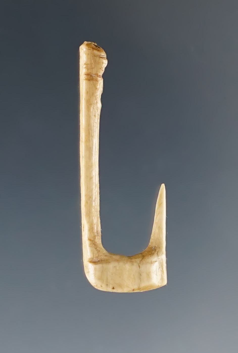 Excellent craftsmanship on this 1 3/16" Mississippian bone fishhook - Kentucky.