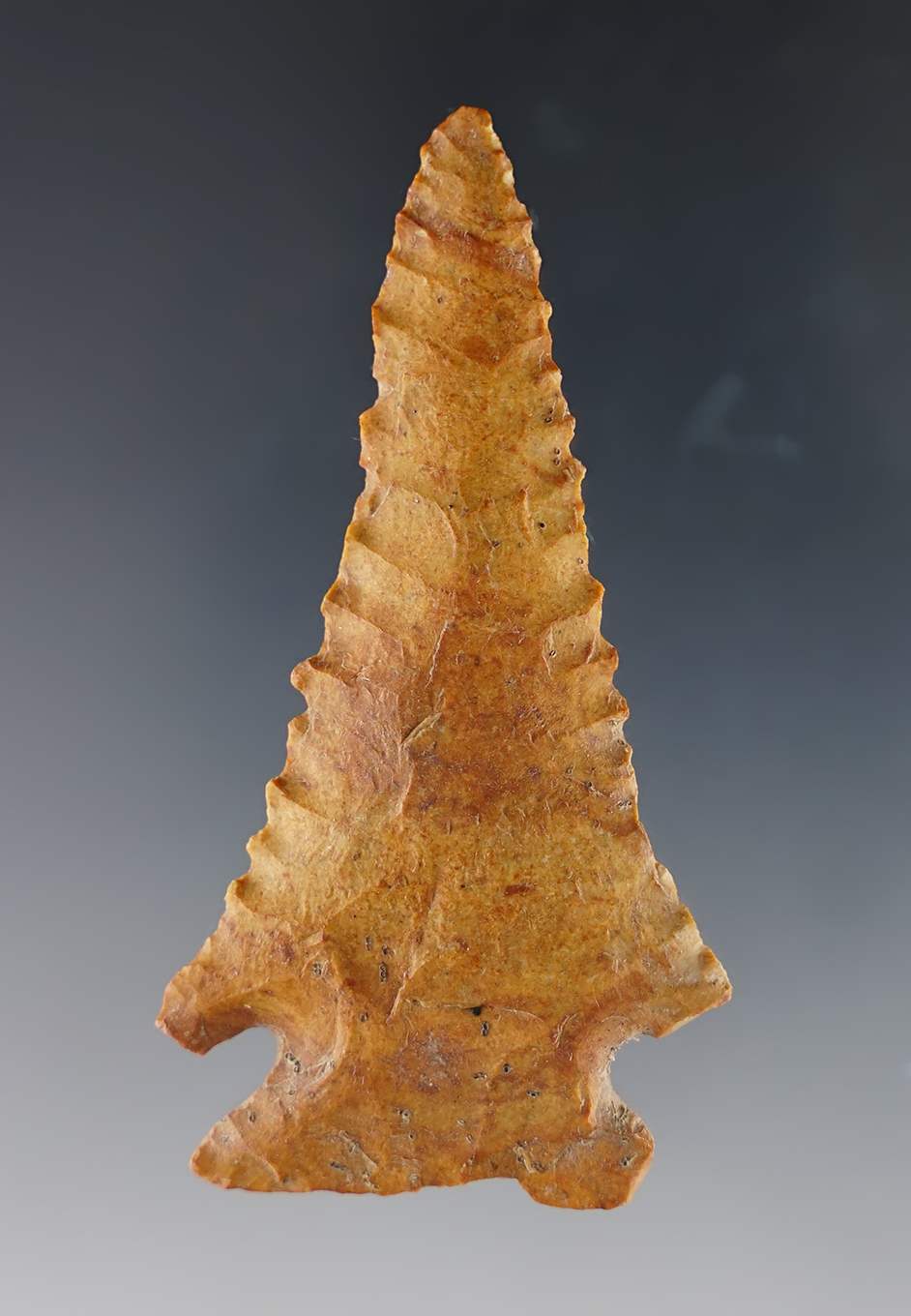 Nice 2 3/4" Pinetree made from colorful Chert. Found in Tennessee.