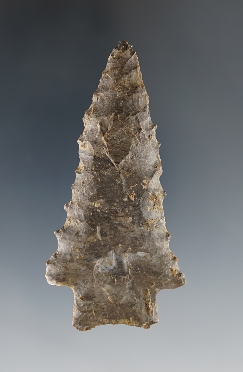 Nicely serrated and well made 2 9/16" Kirk found in Calloway Co., Kentucky. 