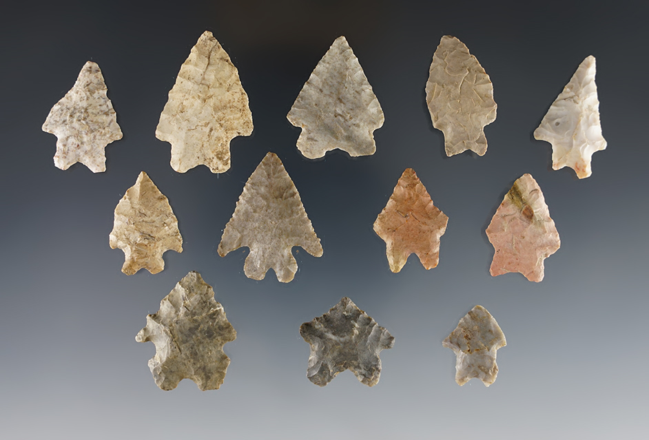 Set of 12 Indiana Bifurcated points in good condition. The largest is 1 3/8".