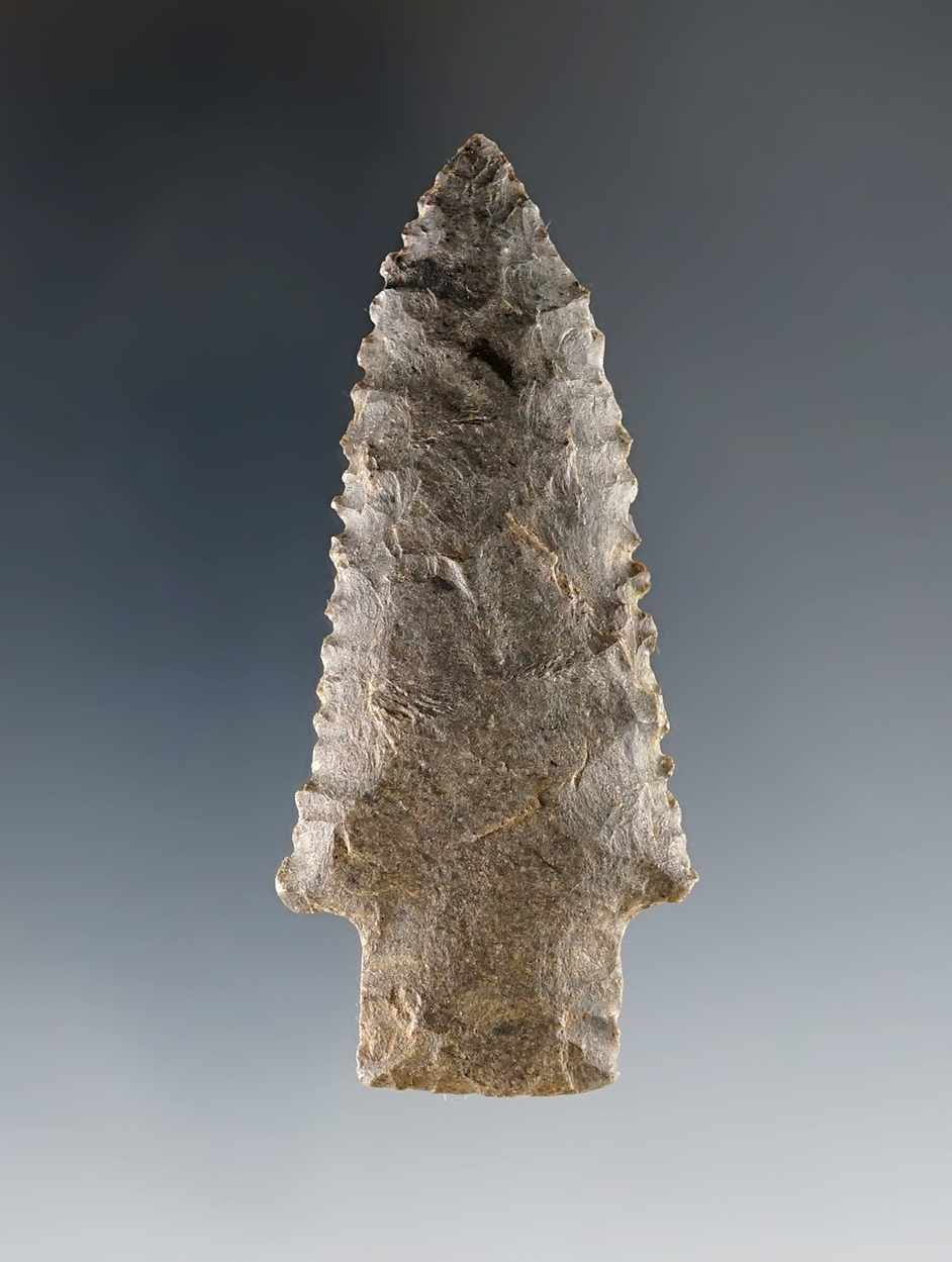 Fine serrations on this 2 9/16" Stemmed Point found in Calloway Co., Kentucky.