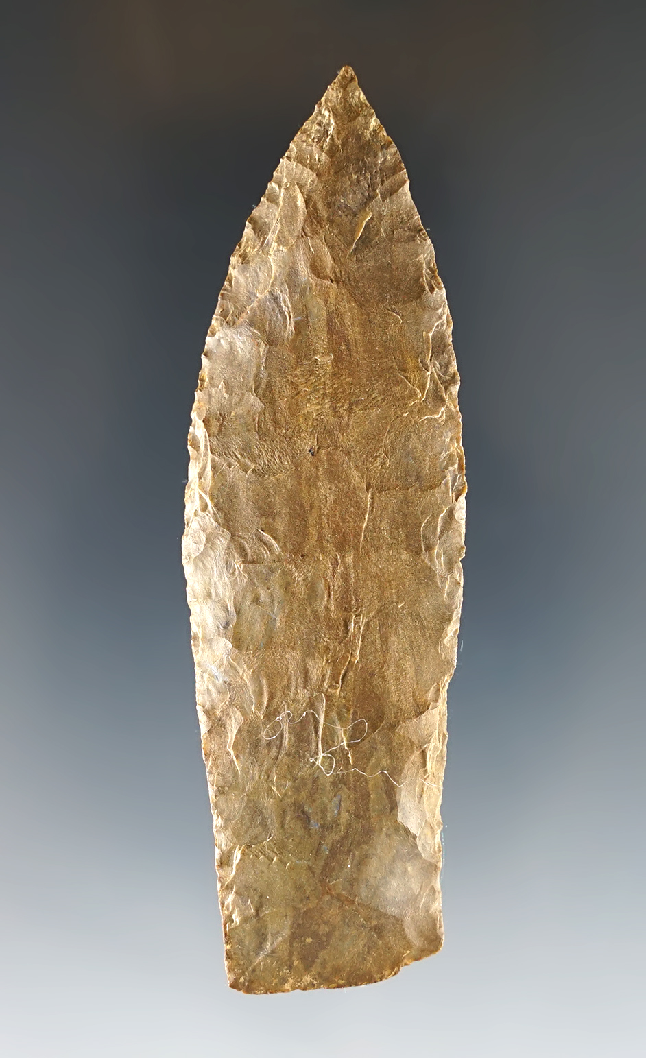 Fine 3 1/4" Copena - Dover Chert. Found close to Bass Bay, Benton Co., Tennessee.