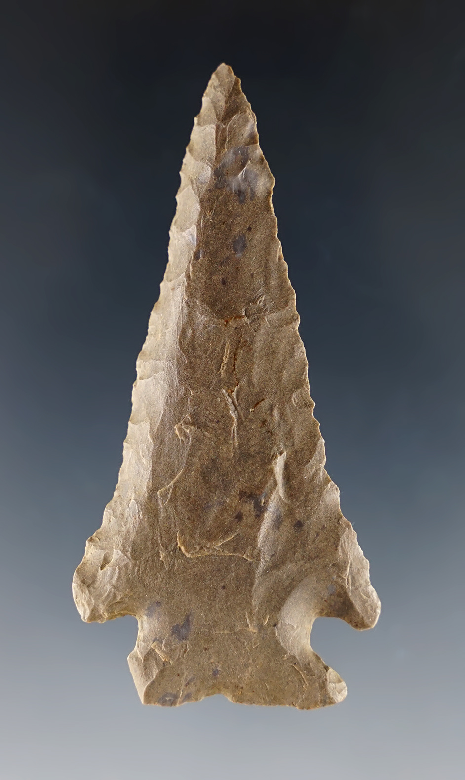 Steeply beveled 2 3/4" Kentucky Cornernotch.