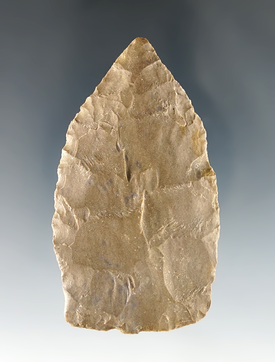 Nice 2 7/8" Copena found in Cheatham Co., Tennessee.