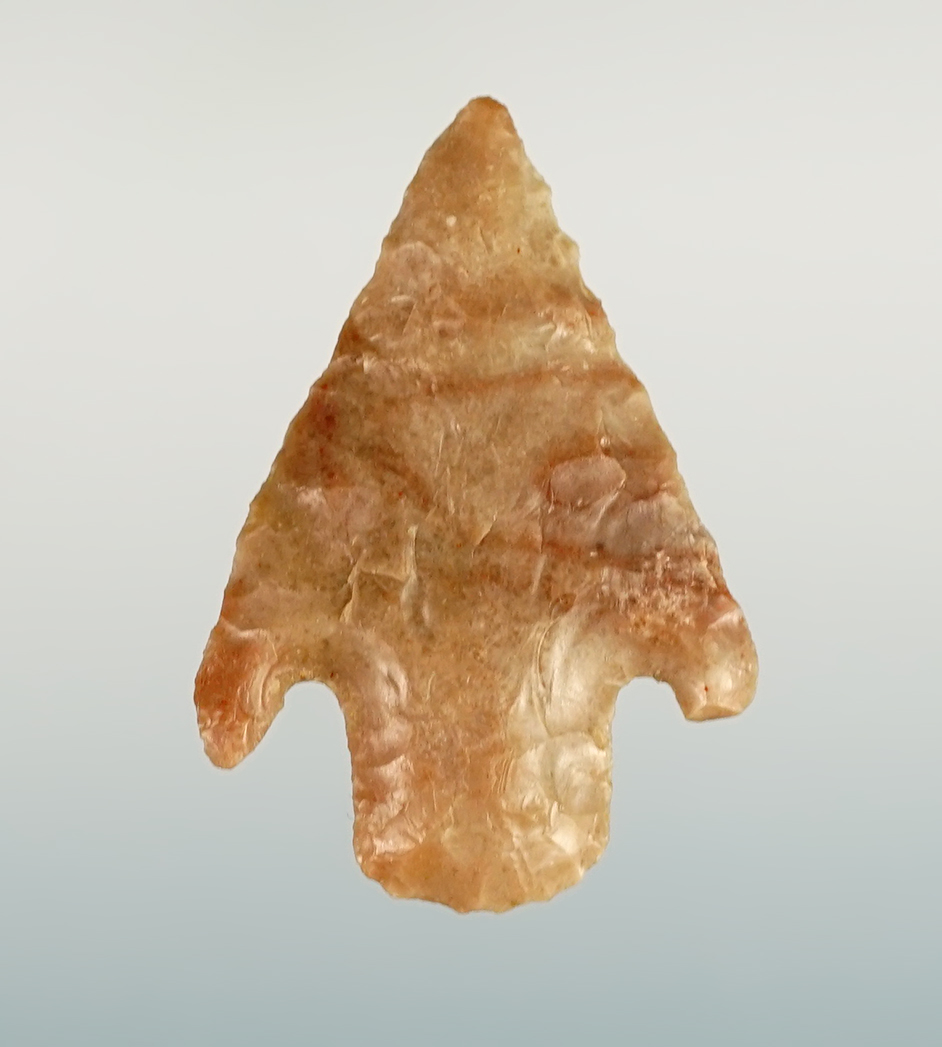 1 7/16" Shumla point recovered in New Mexico. Classic style, quality material.