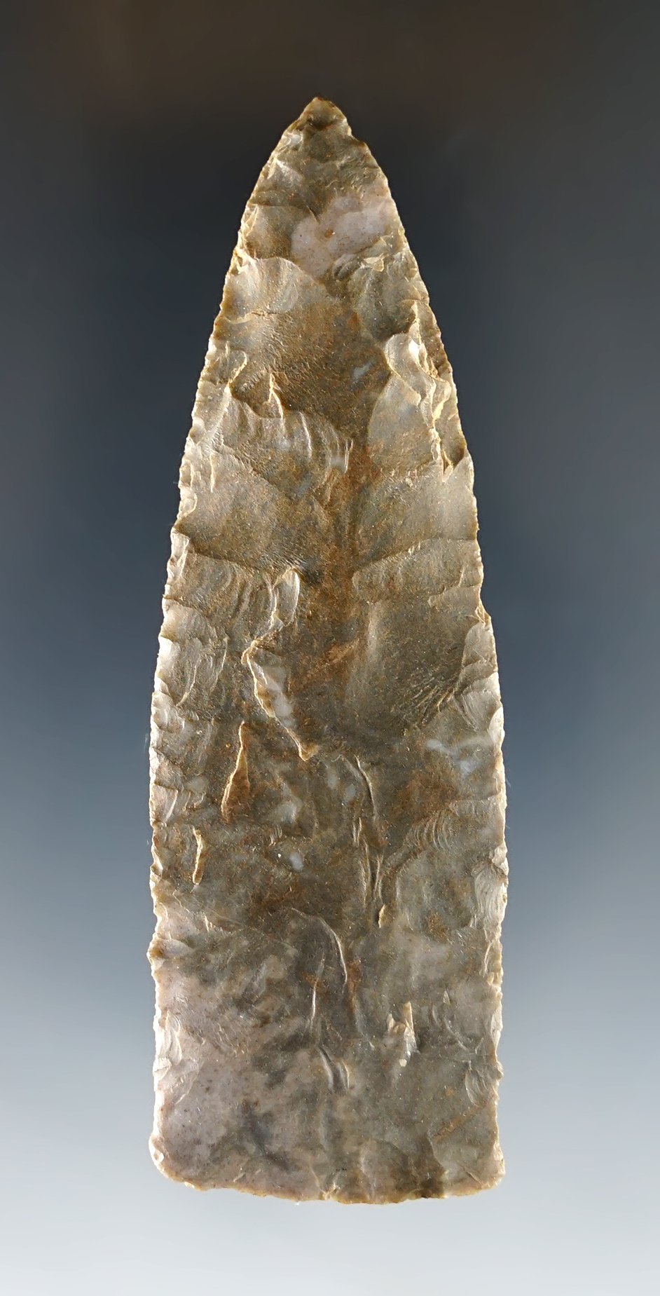 Thin and well made 3 5/16" Copena found in Kentucky.