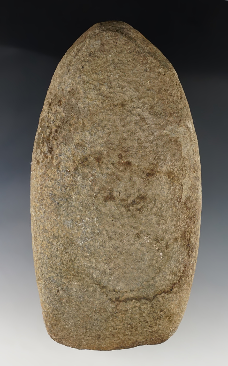 Large 8 1/8" Hardstone Celt found in Maryland. Ex. Walter Dudkewitz collection. Bennett COA.