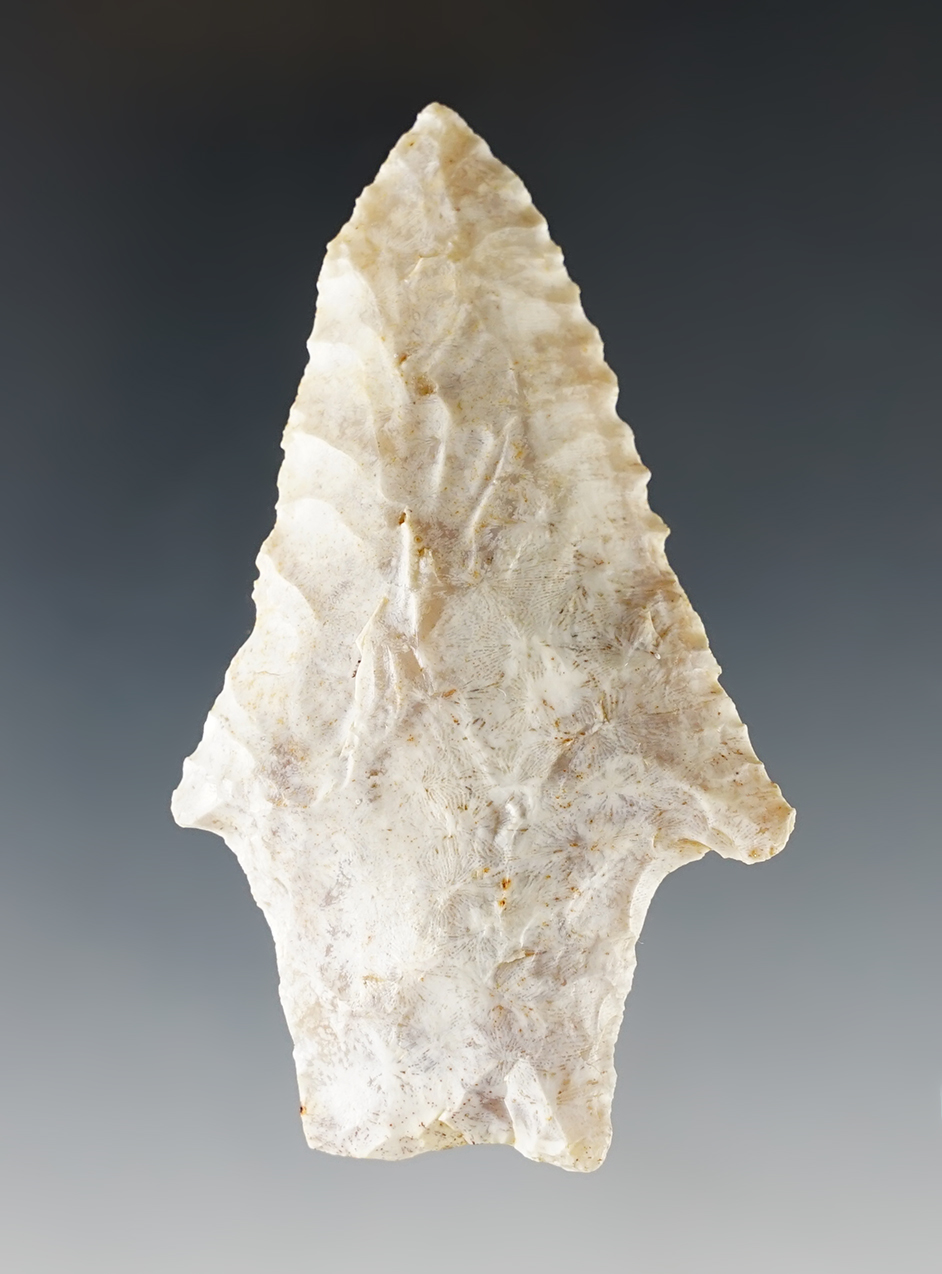 3 1/8" Savannah River found in the Florida/Georgia area by Joseph Carpenter. Bennett COA.