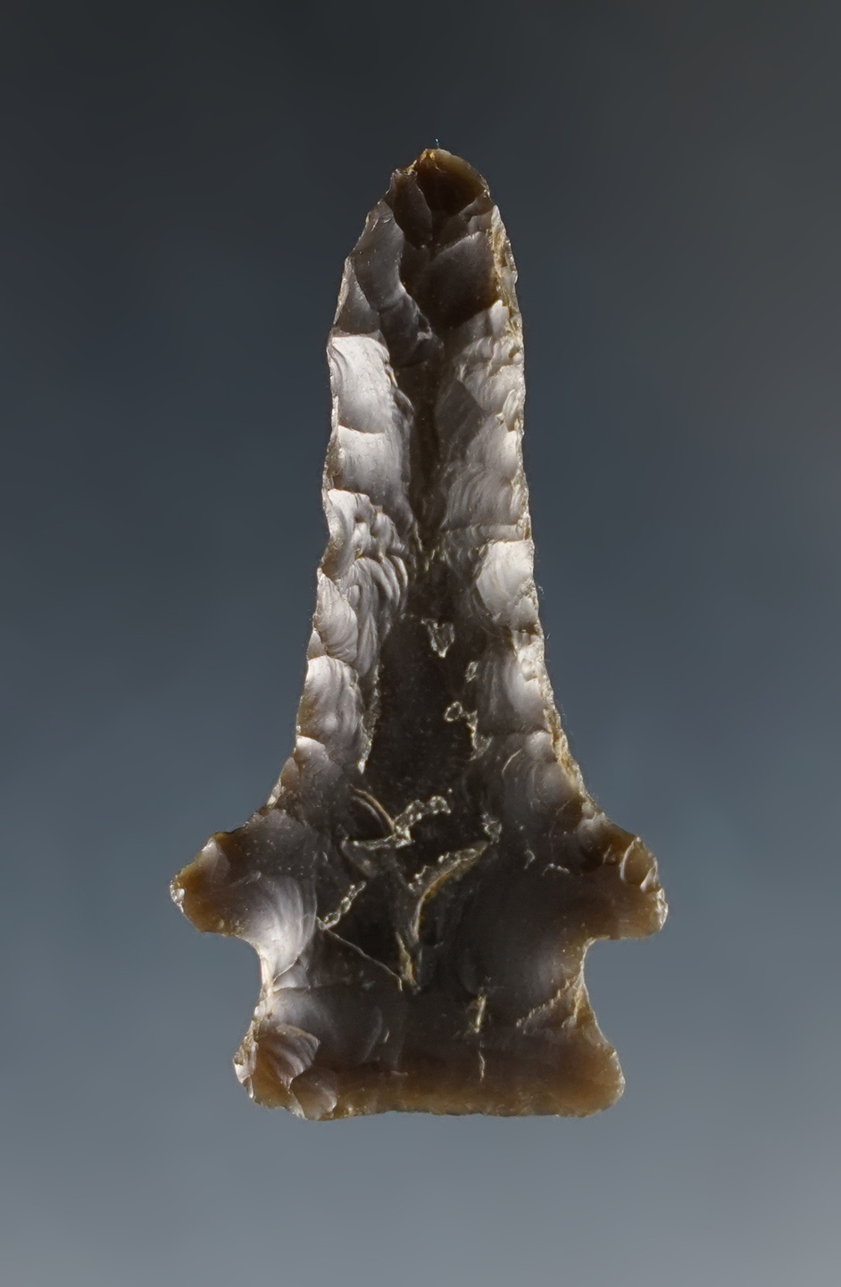 Excellent flaking on this 1 1/2" Pinetree Drill found in Tennessee. 