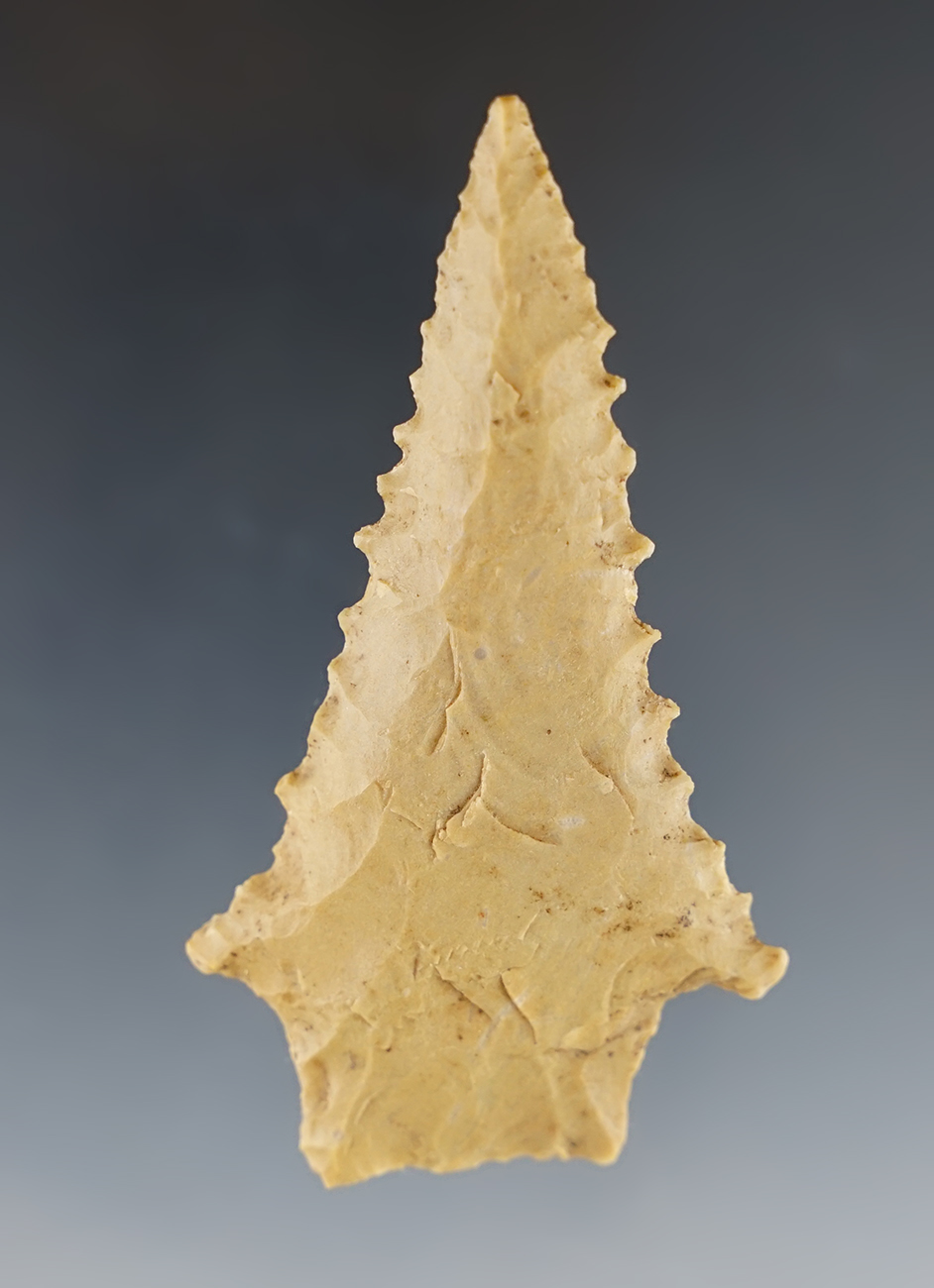 Finely serrated 2 3/4" Stemmed Kirk found by Joseph Dillion in Calloway Co., Kentucky.