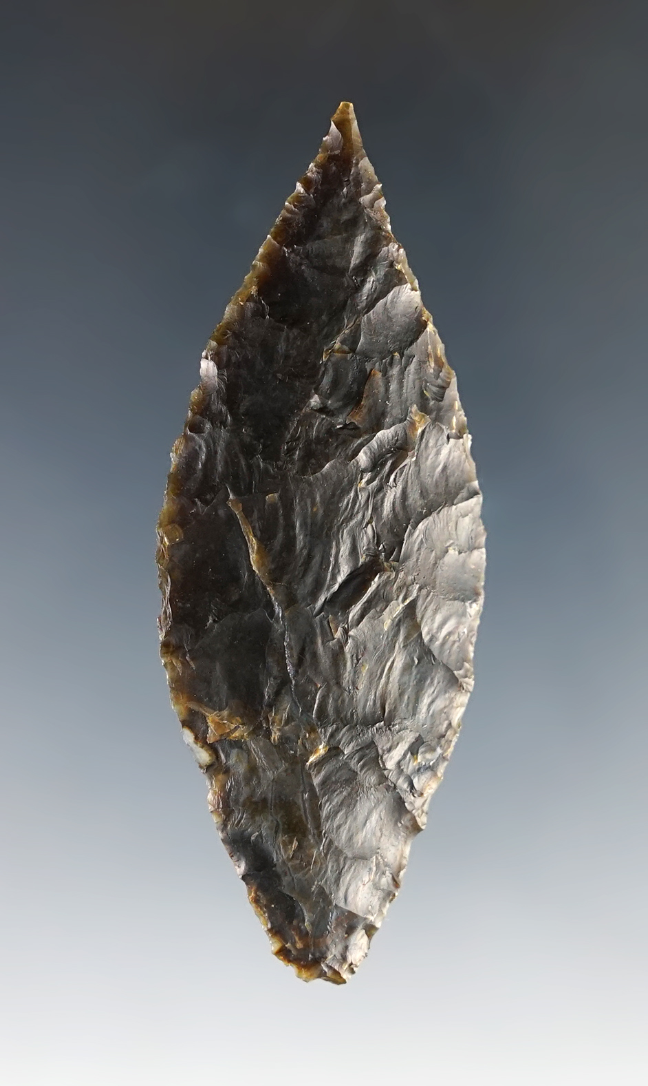 Nice 2 7/8" Ano Nuevo that is well patinated. Santa Barbara Co., California. Stermer COA.