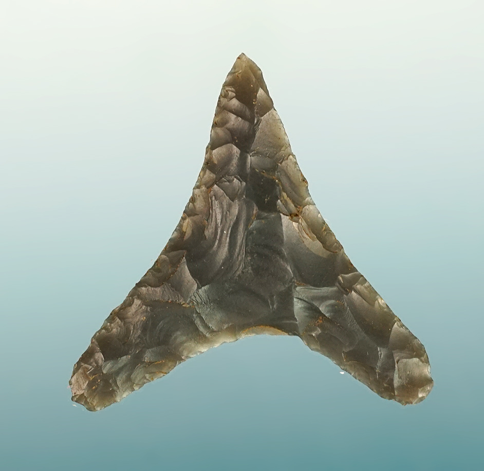 Eccentric style 1 5/16" Triangle point recovered in Kentucky. 