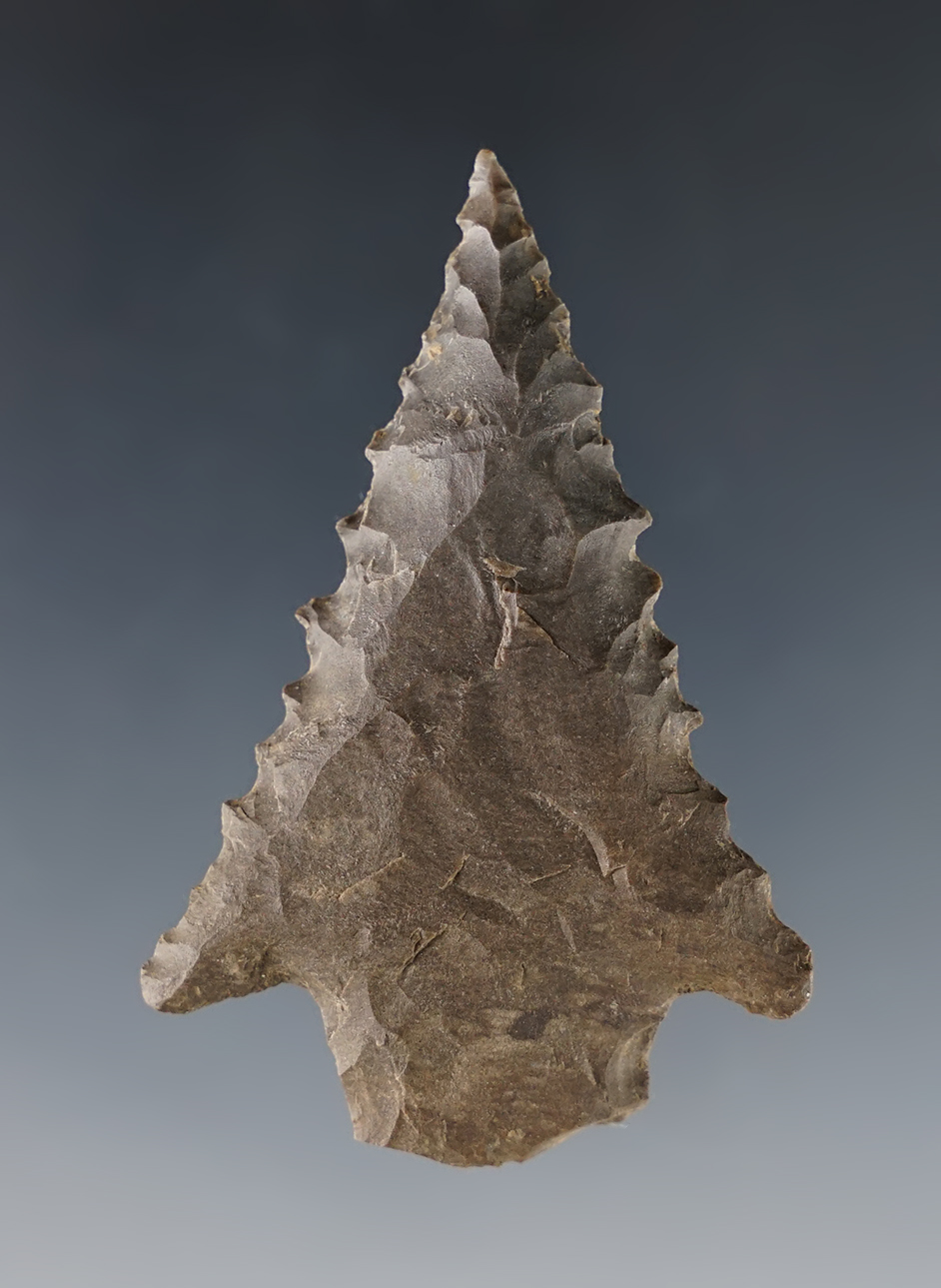 2 1/4" Stemmed Kirk that is well serrated. Found by Joseph Dillion in Calloway Co., Kentucky.