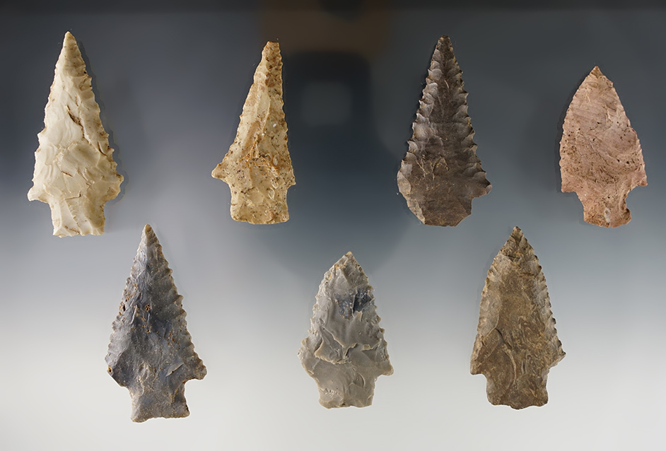 Set of 7 Stemmed points found by Joseph Dillion in Calloway Co., Kentucky. Largest is 2 7/16".