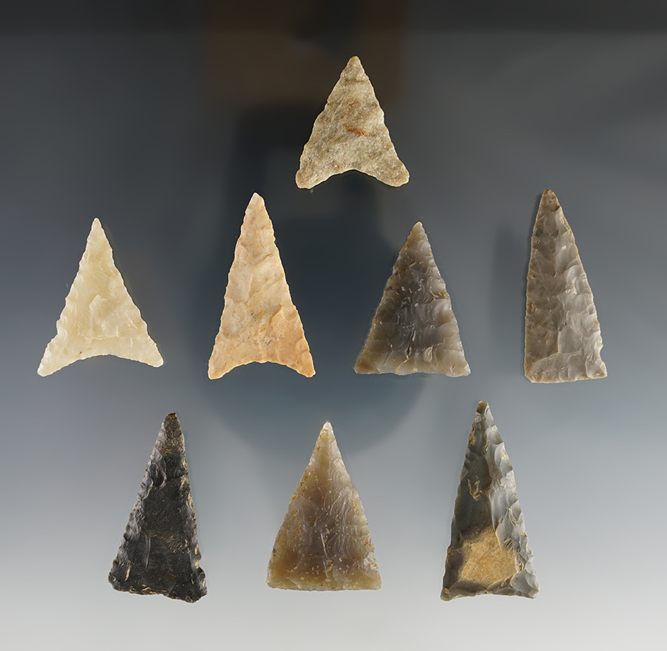 Set of 8 assorted Triangle points found in the Kentucky/Tennessee area. The largest is 1 1/2".