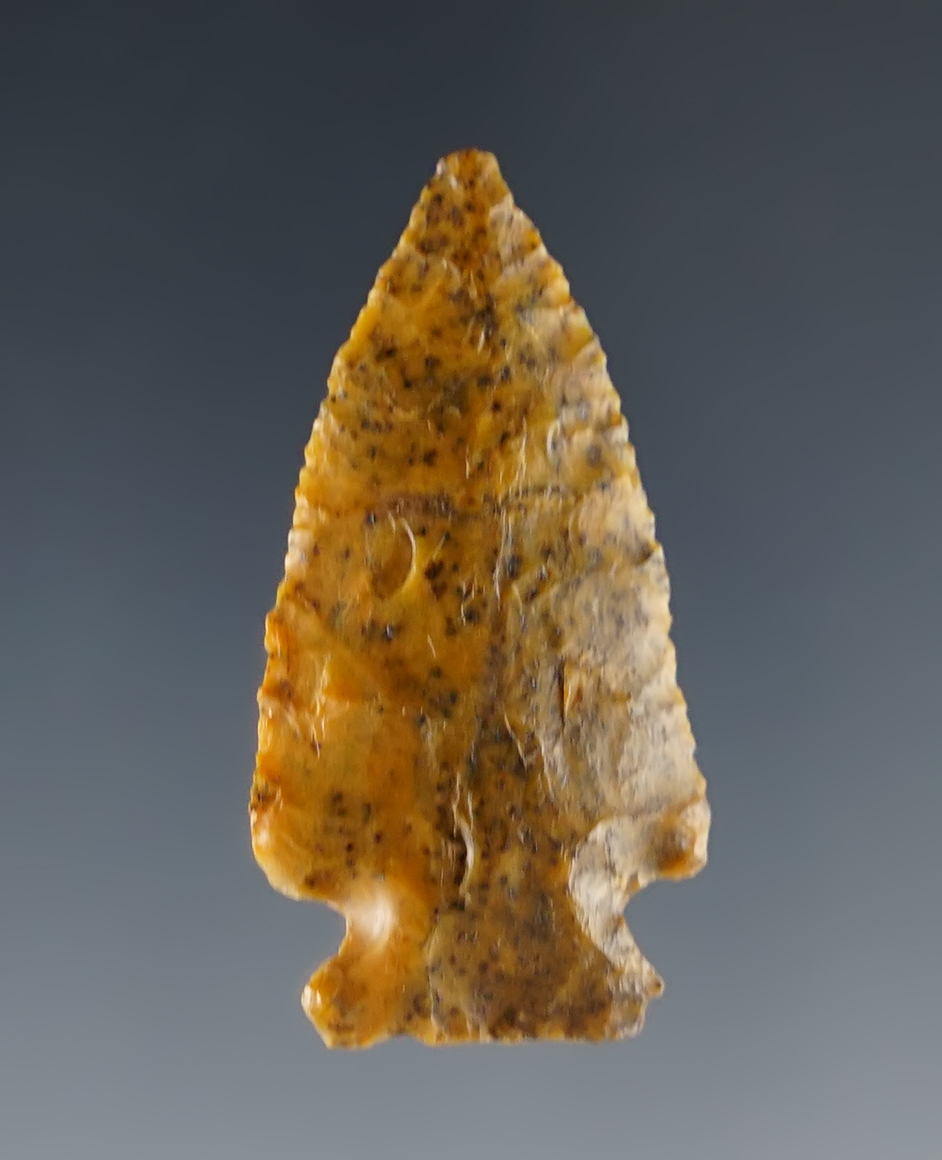 Colorful 1 7/16" Cornernotch found in Colorado. 