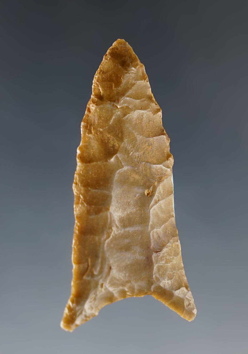 Very nicely made 1 3/16" Paleo Fluted point found in Kentucky with excellent patina.