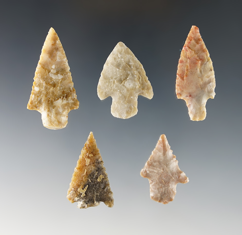 Set of 5 nicely made Colorado points. The largest is 1 11/16".
