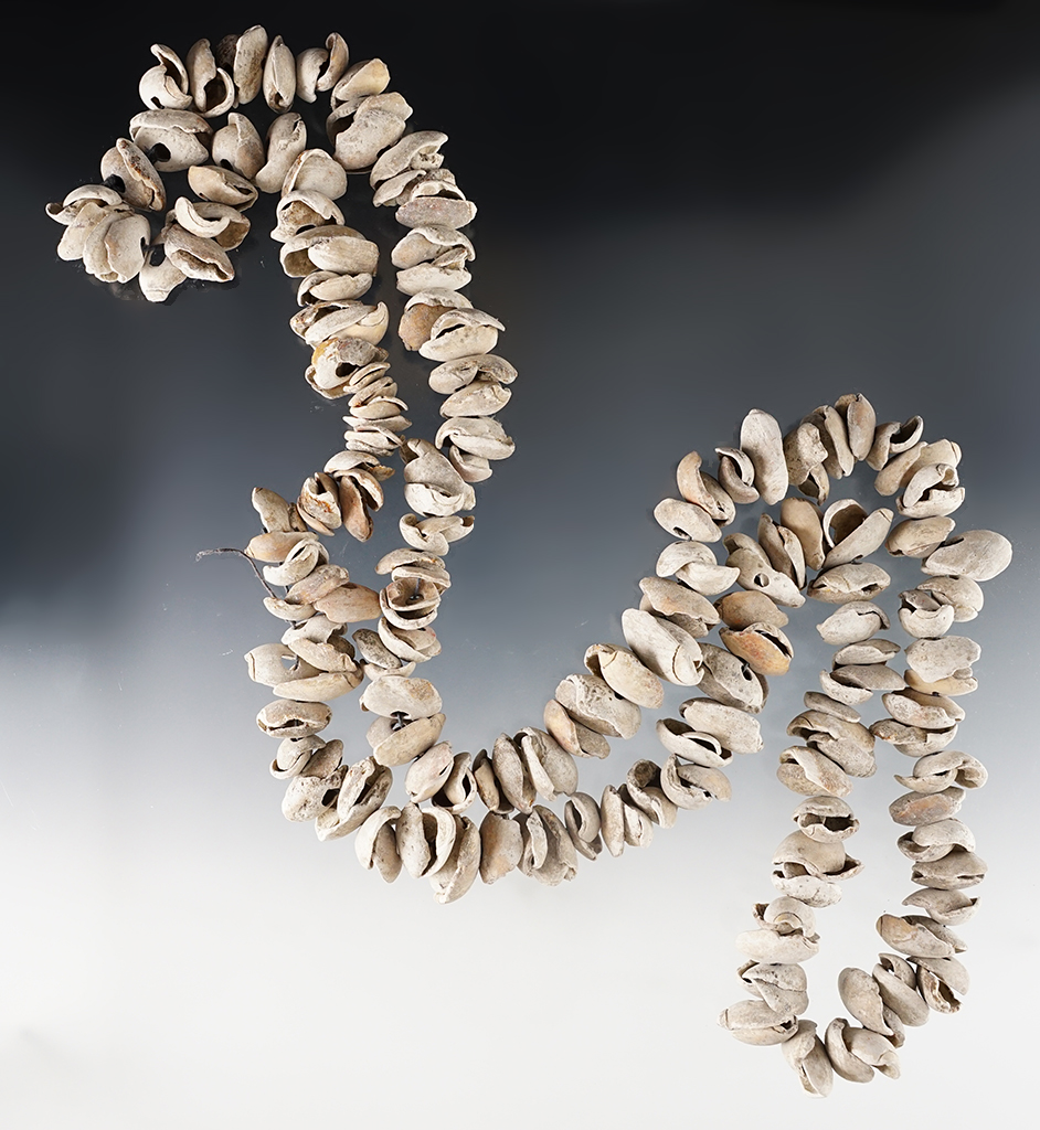 Large 41" Strand of drilled shell beads recovered in Colusa Co., California.  Ex. Chris Ehrke. 