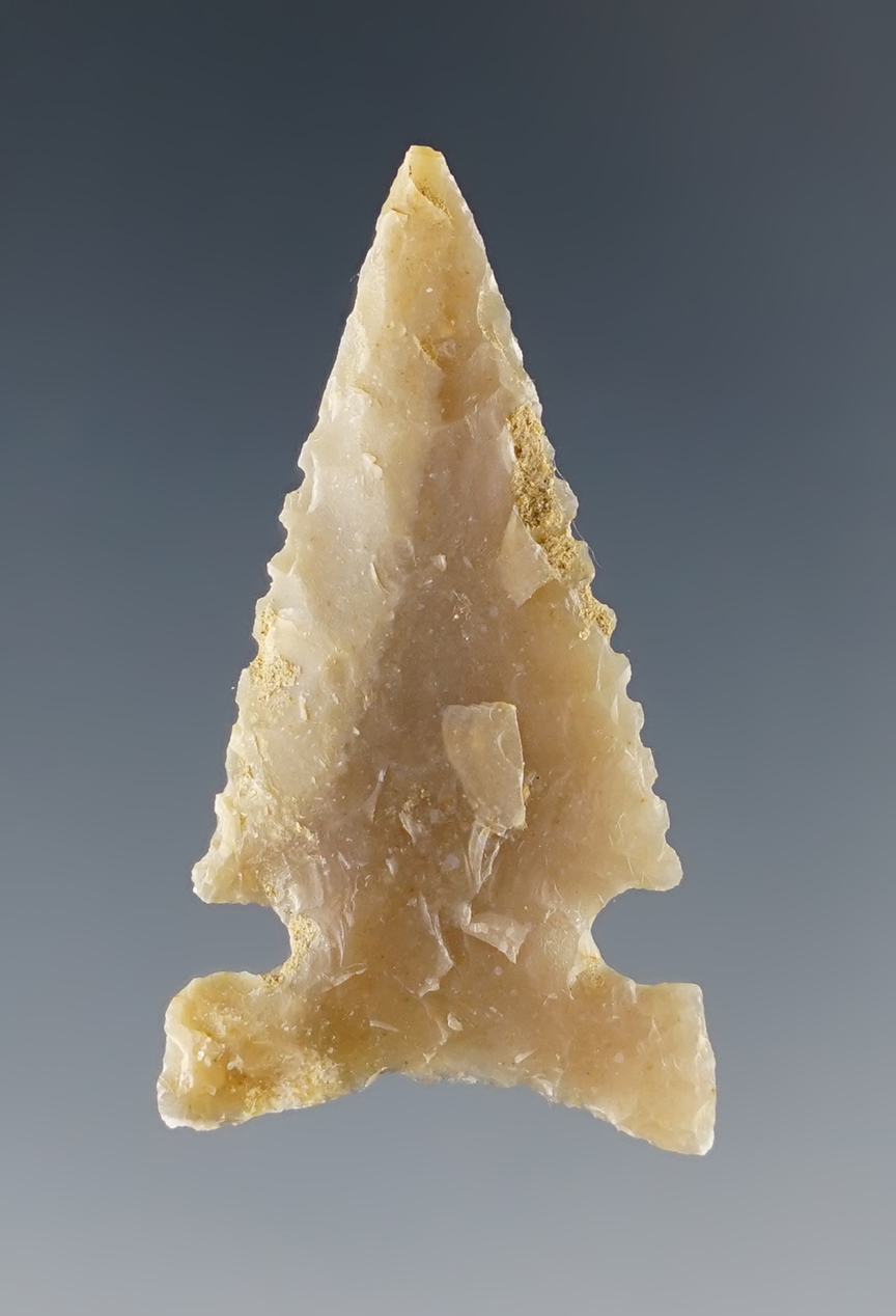 2 7/16" well flaked Sidenotch arrow point in perfect condition recovered in Kansas.