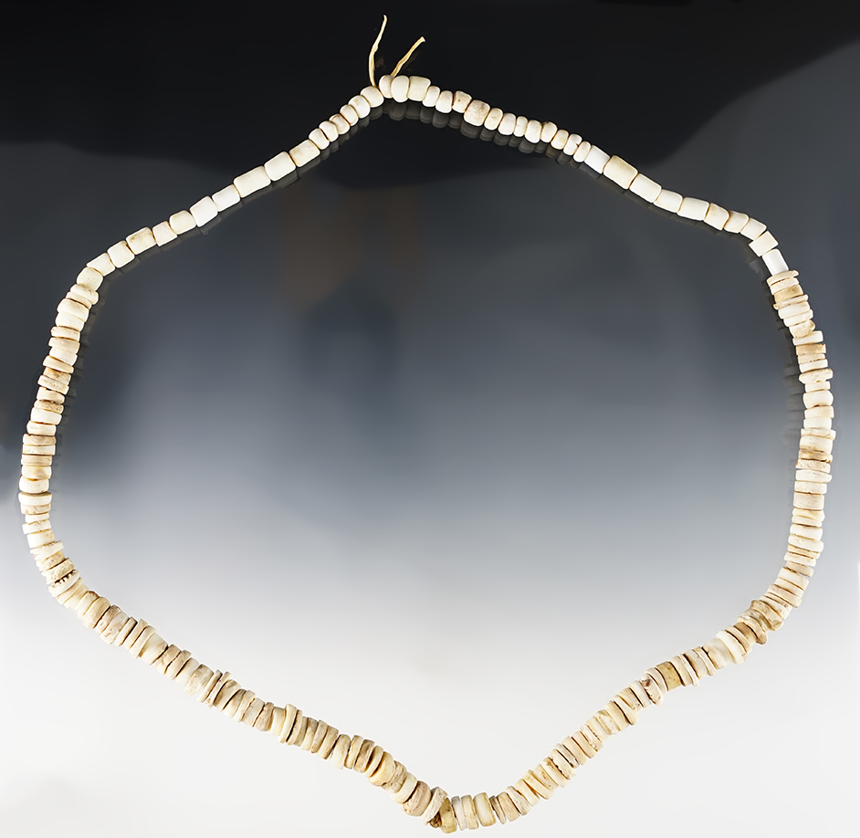 27" Strand of drilled stone and shell beads recovered in Colusa Co., California.  Ex. Chris Ehrke. 