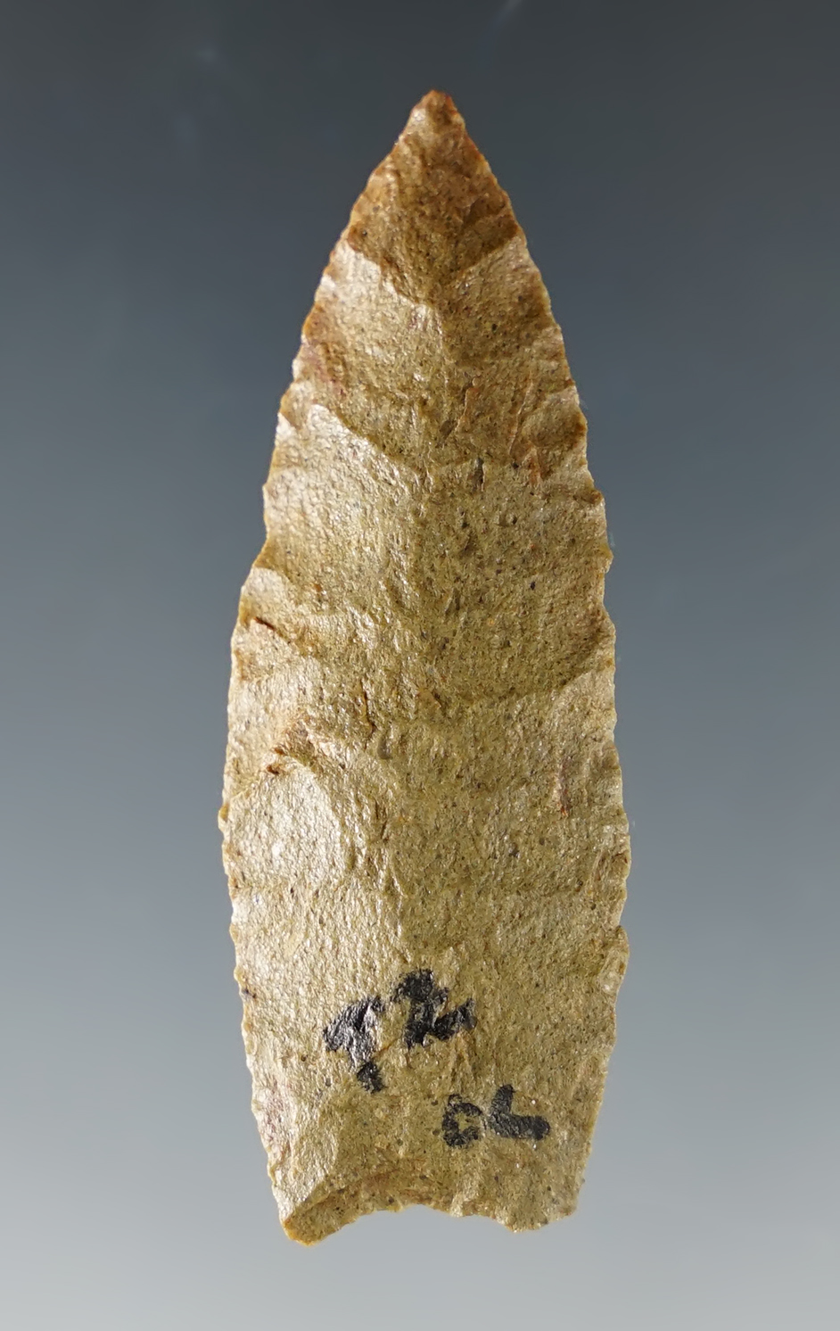 Nice 2" Lanceolate shaped point found in Colorado.